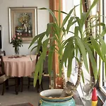 Bed and breakfast Silvana *