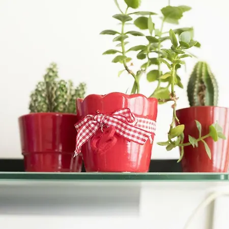 Silvana Couette-café Salernes