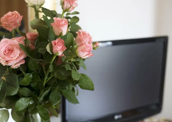 Silvana Couette-café Salernes