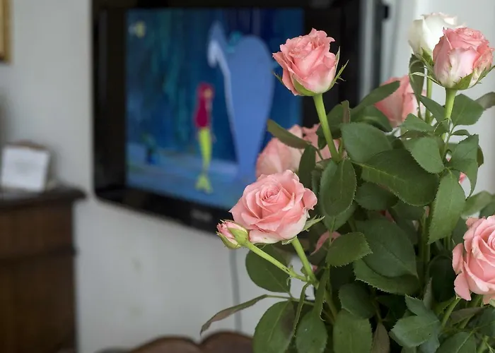 Couette-café Silvana Salernes