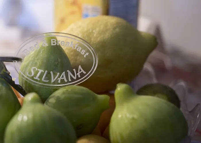 Silvana Couette-café *