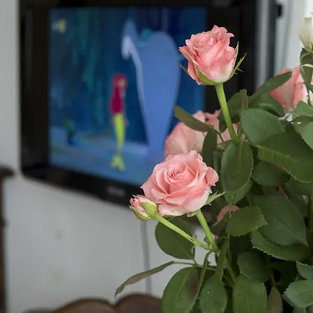 Alojamento de Acomodação e Pequeno-almoço Silvana Salerno