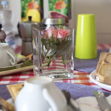 Alojamento de Acomodação e Pequeno-almoço Silvana