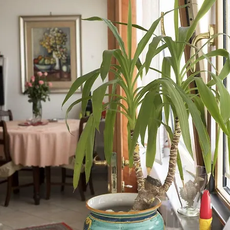 Alojamento de Acomodação e Pequeno-almoço Silvana *