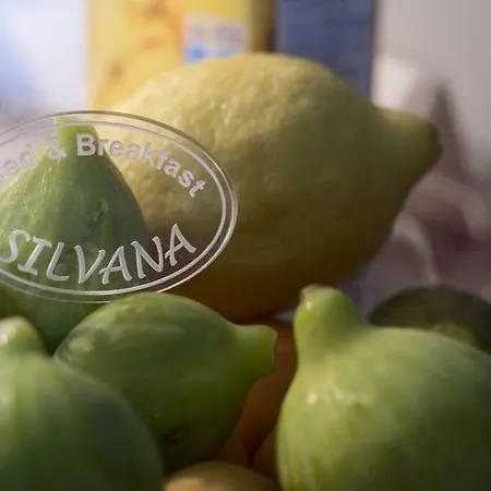 Silvana Alojamento de Acomodação e Pequeno-almoço *