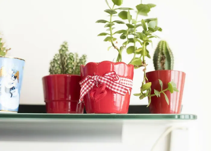 Silvana Nocleg ze śniadaniem Salerno