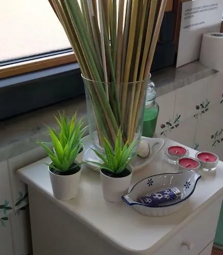 Silvana Nocleg ze śniadaniem